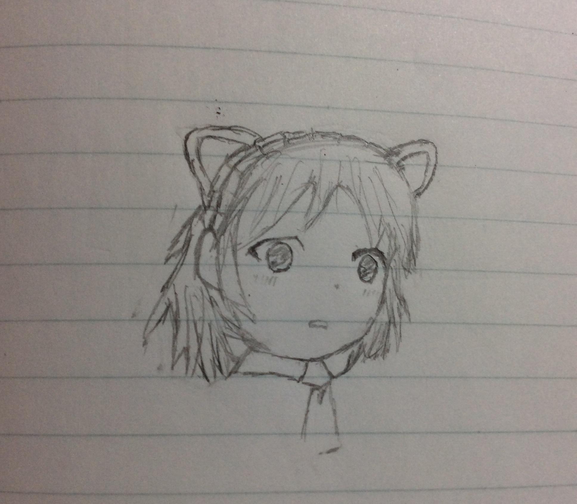 48248